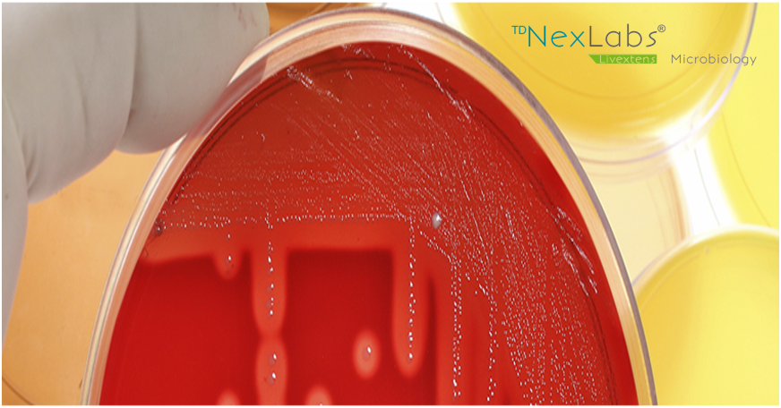 TD-NexLabs Microbiology