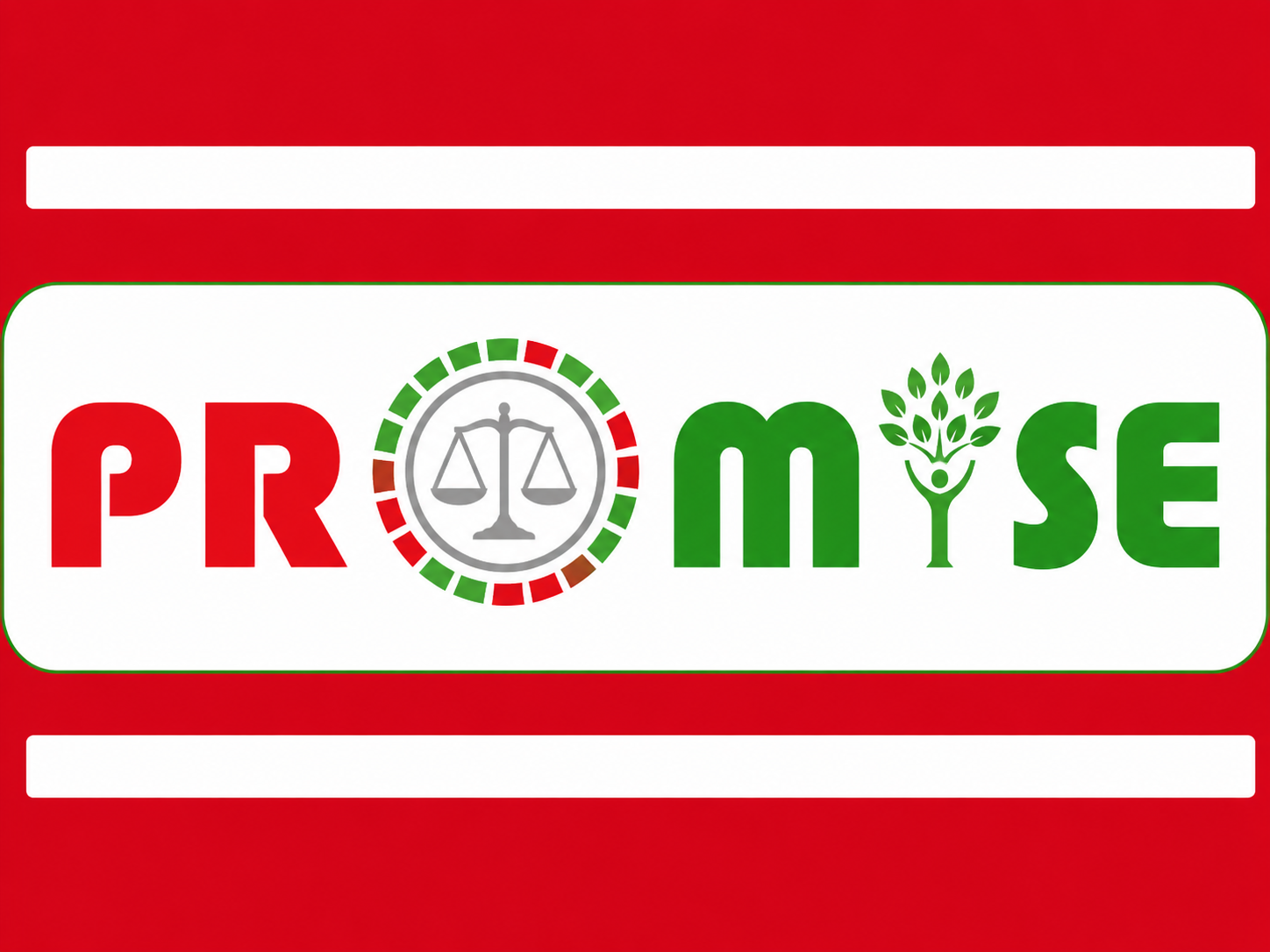 Έργο Promise